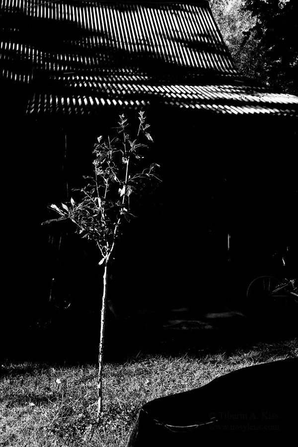 29 :: On film
